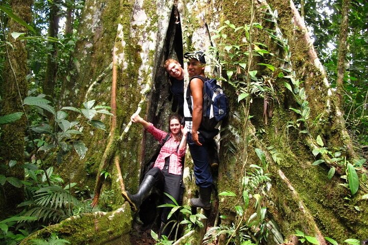 Grand Selva 3-Day Jungle Expedition Amazonia Ecuador rainforest