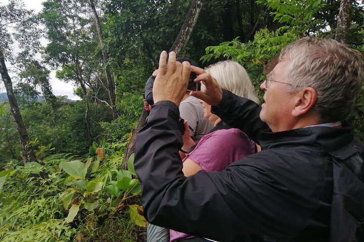 Grand Selva 3-Day Jungle Expedition Amazonia Ecuador rainforest