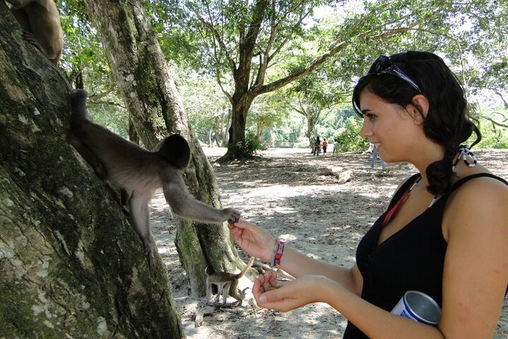 Grand Selva 3-Day Jungle Expedition Amazonia Ecuador rainforest