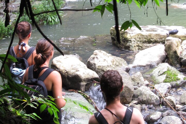 Grand Selva 3-Day Jungle Expedition Amazonia Ecuador rainforest