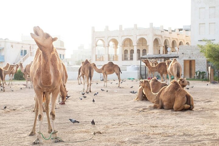 Private Doha Guided City Tour To All Main Attractions