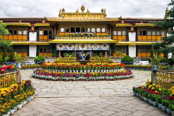 Private Guided Dharamshala Tour with Scenic Views & Lunch