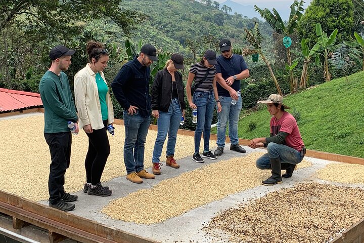 Coffee Tour and Jeep Tour at Finca Mariposa in Jardin