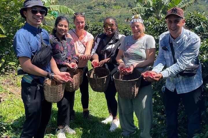 Coffee Tour and Jeep Tour at Finca Mariposa in Jardin