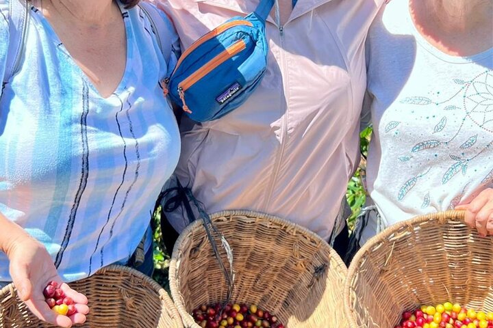 Coffee Tour and Jeep Tour at Finca Mariposa in Jardin