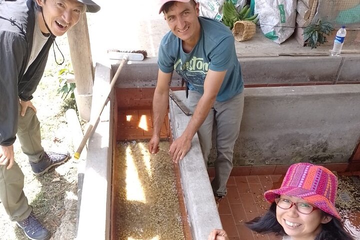 Coffee Tour and Jeep Tour at Finca Mariposa in Jardin