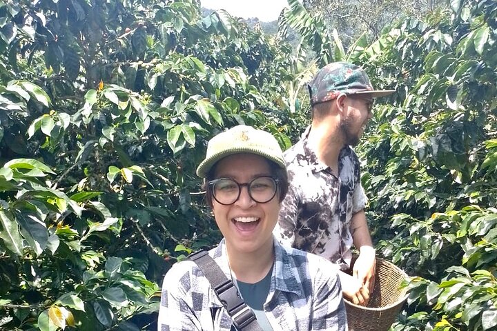 Coffee Tour and Jeep Tour at Finca Mariposa in Jardin