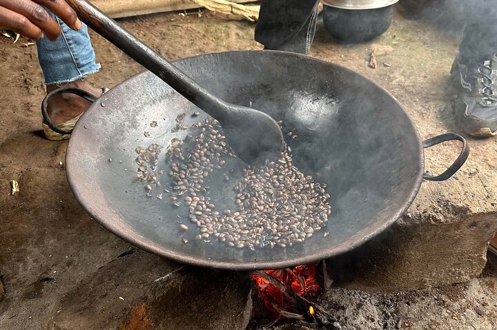Materuni Waterfall and Coffee Plantation Half Day Tour