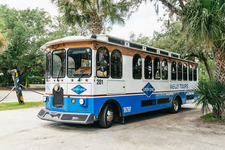 Savannah to Tybee Island with Dolphin Cruise