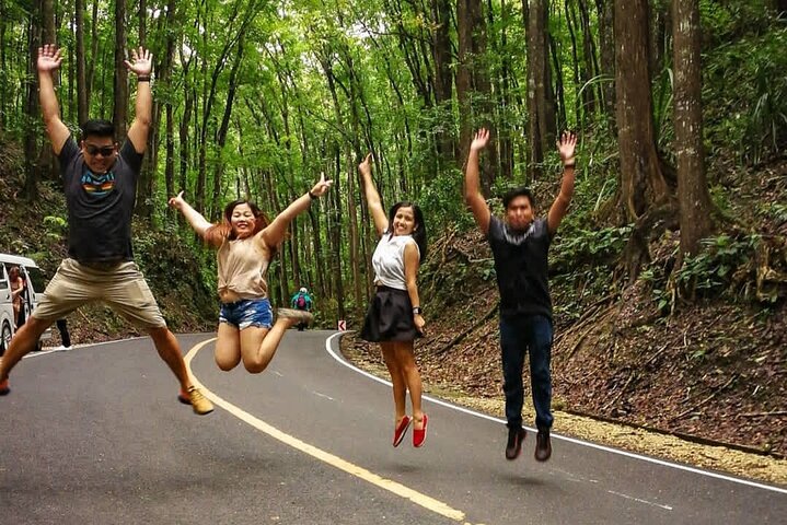 2026 Affordable Bohol: Tarsier Sanctuary & Chocolate Hills