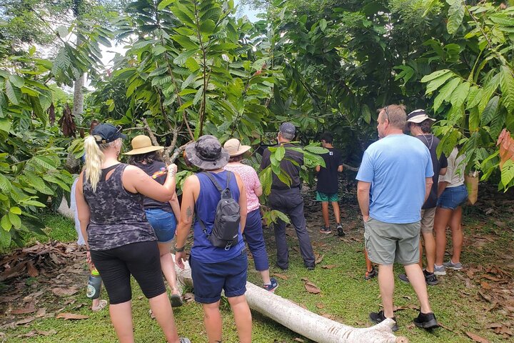 Traditional Chocolate Making in Belize