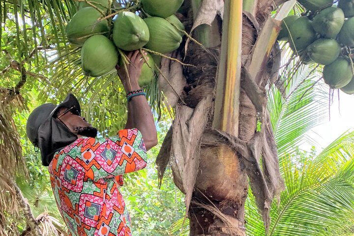 Garifuna Cultural and Culinary Experience in Hopkins Belize