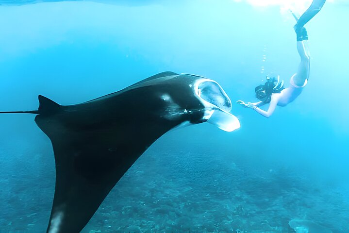 From Bali: Nusa Penida Snorkeling and Island Tour