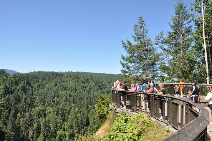 Snoqualmie Falls and Wineries Tour from Seattle