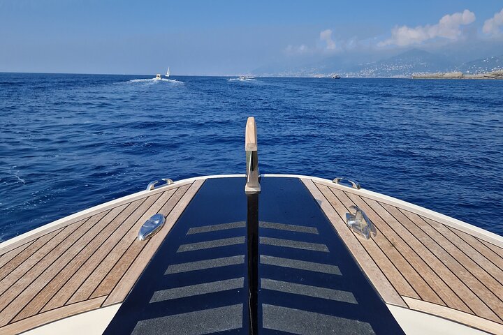 Private Boat Tour in Portofino on board GreenBoat