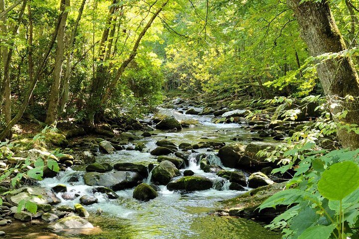 Great Smoky Mountains National Park Self-Guided Audio Tour
