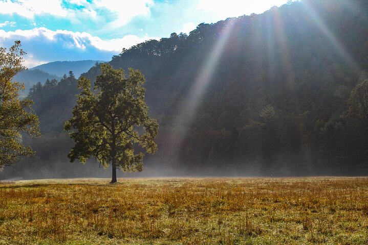 Great Smoky Mountains National Park Self-Guided Audio Tour