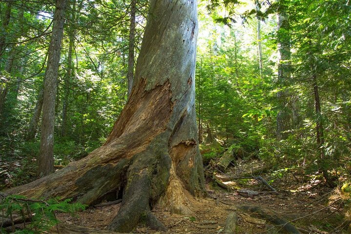 Self-Guided Audio Driving Tour in Keweenaw Copper Country Trail