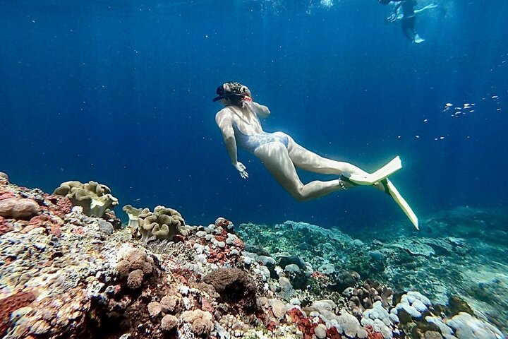 Swim with Manta Rays: Snorkeling Day Trip from Bali