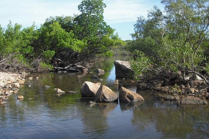 Magnetic Island: West Coast Eco Adventure