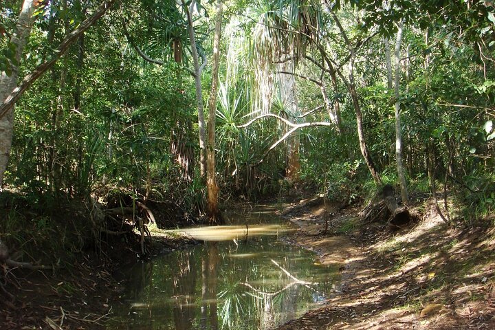 Magnetic Island: West Coast Eco Adventure