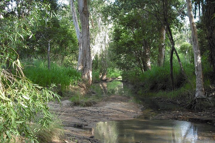 Magnetic Island: West Coast Eco Adventure