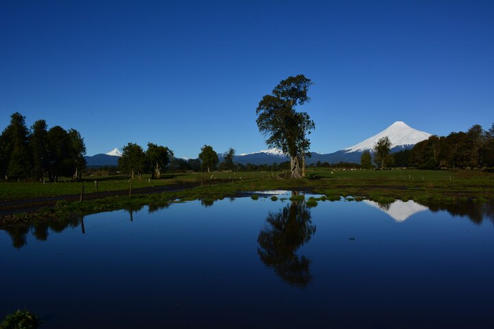 Llanquihue Lake Tour