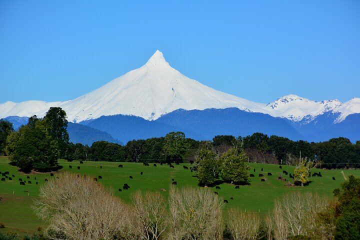 Llanquihue Lake Tour