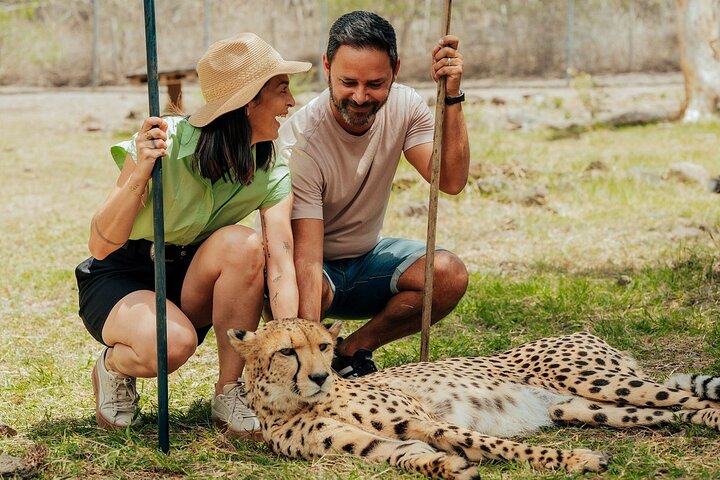 Wild South West Tour : SAFARI & TULAWAKA CASELA PARK & LE MORNE