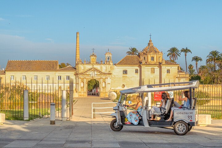 Tour Welcome to Seville in Eco Tuk Tuk Private with Local Guide