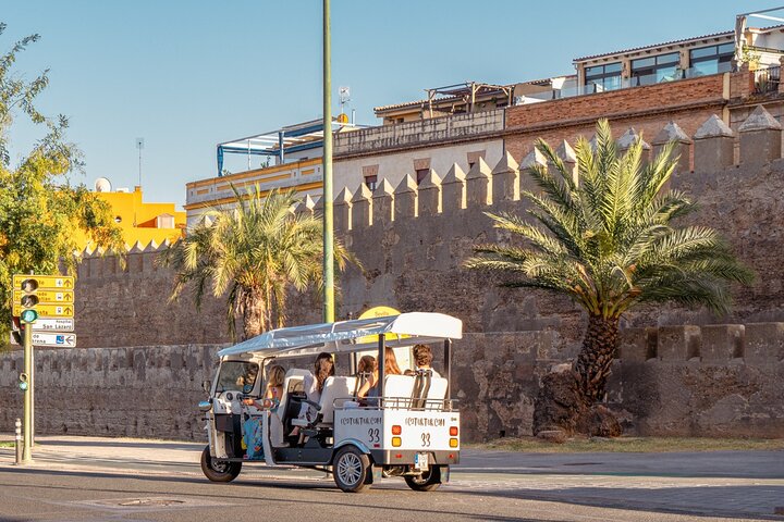 Tour Welcome to Seville in Eco Tuk Tuk Private with Local Guide