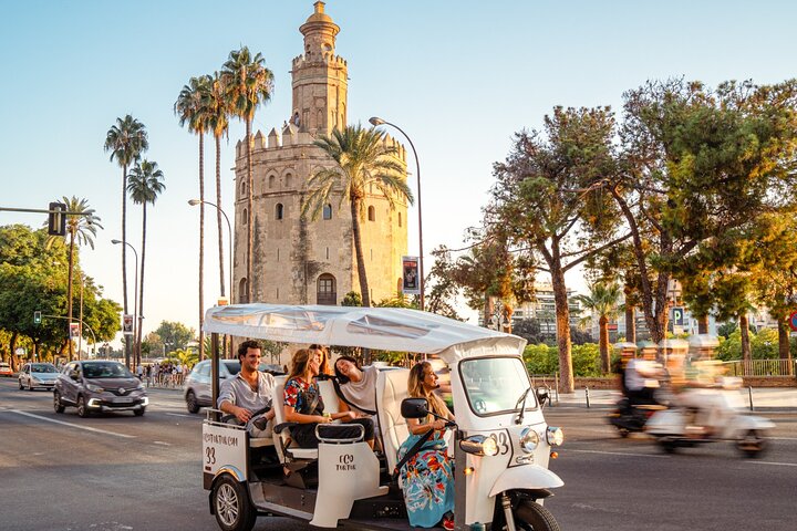 Tour Welcome to Seville in Eco Tuk Tuk Private with Local Guide