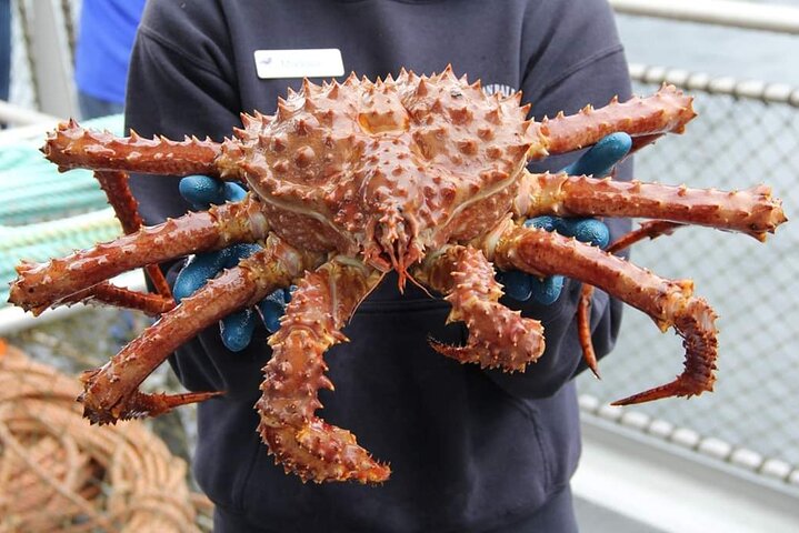 Bering Sea Crab Fisherman's Tour from Ketchikan