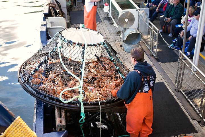 Bering Sea Crab Fisherman's Tour from Ketchikan