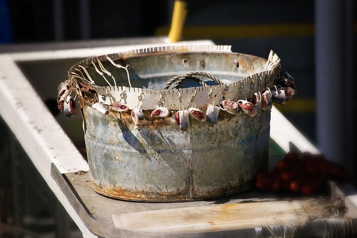 Bering Sea Crab Fisherman's Tour from Ketchikan