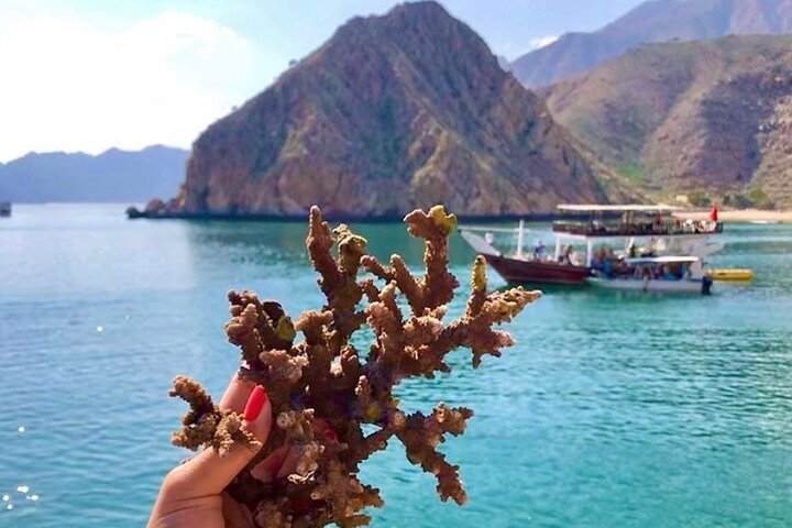 Khasab Dhow Cruise To Musandam Fjords With Lunch Onboard