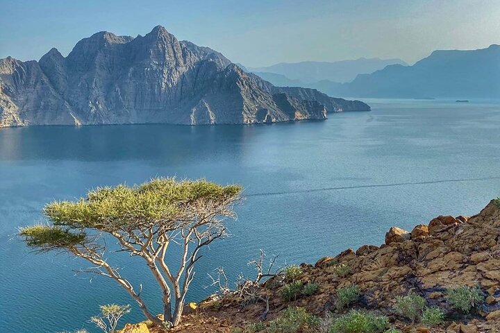 Khasab Dhow Cruise To Musandam Fjords With Lunch Onboard