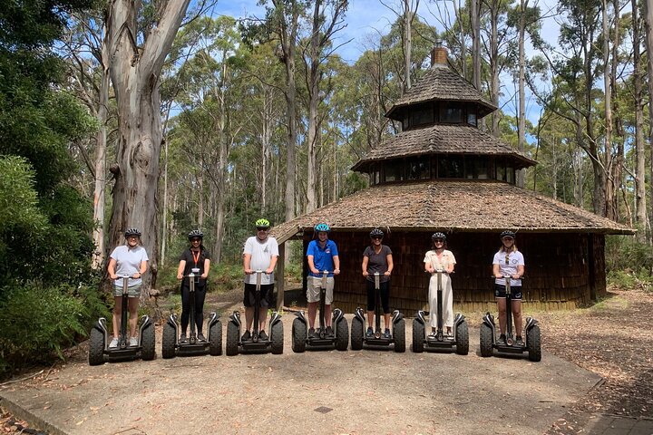 Launceston: Hollybank Treetops Adventures - Segway Tour