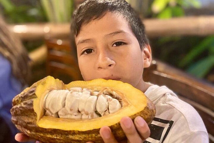 Chocolate & Coffee farm Cruiseship Tour in Manta