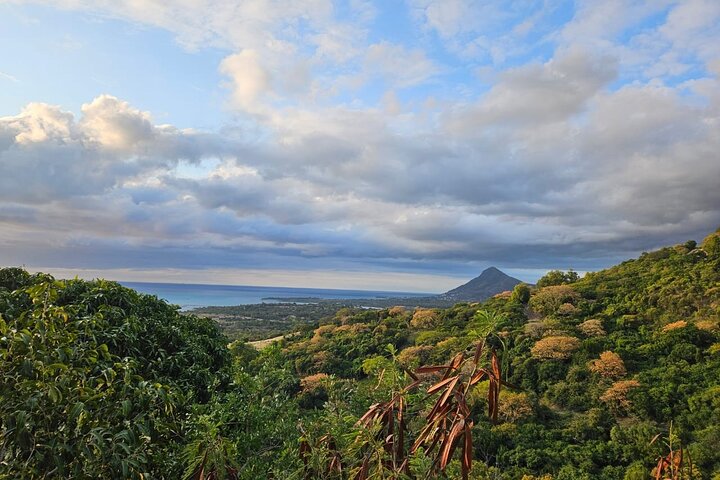 Private and Guided Tour of Mauritius South