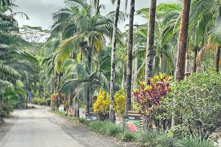 Private and Guided Tour of Mauritius South