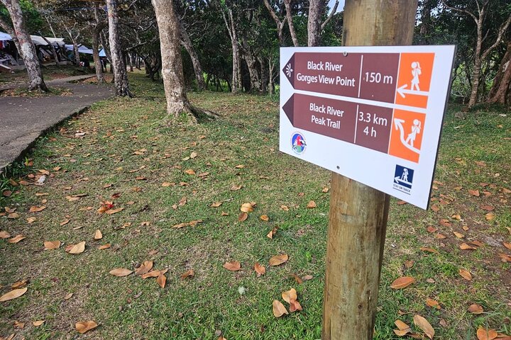 Private and Guided Tour of Mauritius South