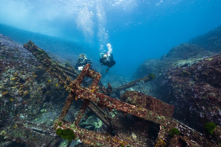 Double Dive to South Solitary Island Coffs Harbour