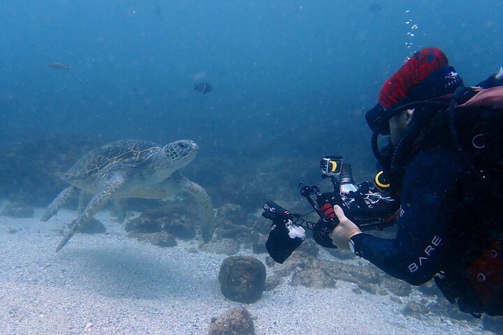 Double Dive to South Solitary Island Coffs Harbour