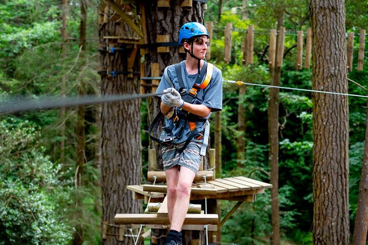 Launceston: Hollybank Treetops Adventure - Zipline Tours