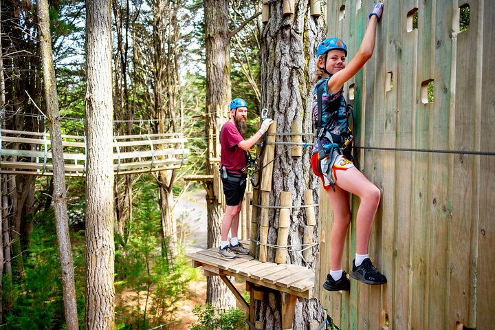 Launceston: Hollybank Treetops Adventure - Zipline Tours