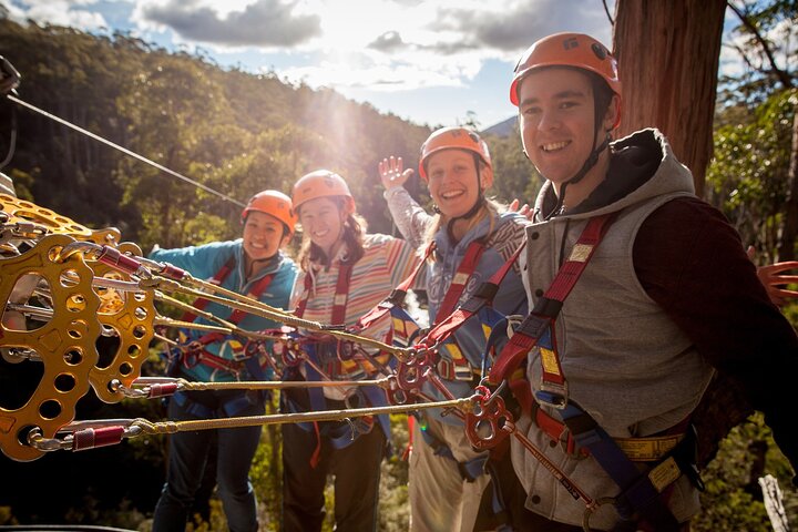 Launceston: Hollybank Treetops Adventure - Zipline Tours
