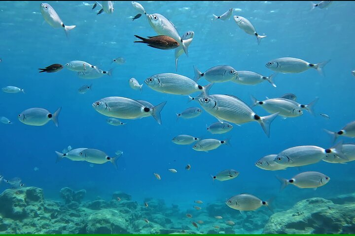 Discover SCUBA Diving with Pissouri Bay Divers