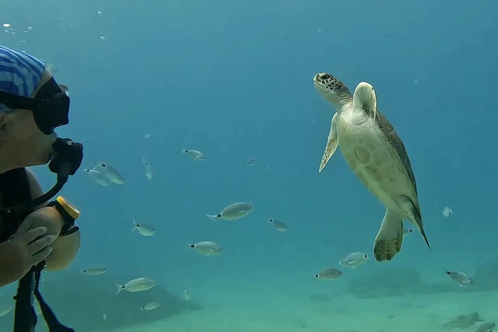 Discover SCUBA Diving with Pissouri Bay Divers