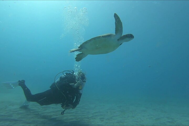 Discover SCUBA Diving with Pissouri Bay Divers